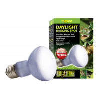 Exo Terra Daylight Basking Spot - Verlichting - 50 Watt R20