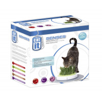 Catit Senses Grass Garden Kit - Kattenspeelgoed - per stuk