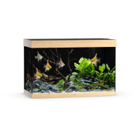 Juwel Rio 290 Led - Aquarium - 101x51x66 cm Licht Hout