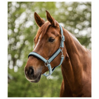 Waldhausen Halter Mesh Korenblauw - Paardenhalster - Cob