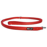 Petlando Trainingslijn Mesh Rood - Hondenriem - 230x2.5 cm