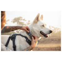 Ruffwear Front Range Collar - Hondenhalsband - Donkergrijs 51-66 Cm