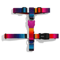 Zee.Dog H-Harnas Prisma Multi-Color - Hondentuig - 20-34/23-38x1.0 Cm