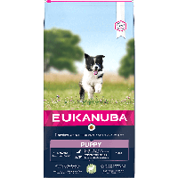 2.5 kg Eukanuba Puppy/Junior Large Lam-rijst (OP=OP Max. 1 per bestelling)