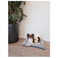 Adori Benchmat Oriana - Hondenbenchkussen - 58x41 cm Grijs