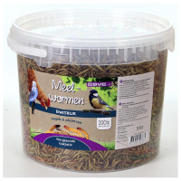 Esve Meelwormen In Emmer - Voer - 1 kg