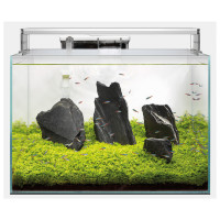 Superfish Scaper 45 - Aquaria - 45x32x32 cm 45 l Transparant