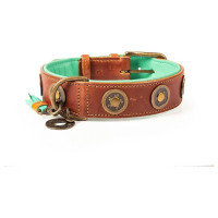 Dwam Halsband Urban - Hondenhalsband - Bruin&Turquoise 38-47x4 Cm