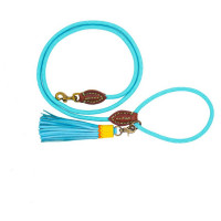 Dwam Looplijn Turquoise - Hondenriem - 155x1 cm