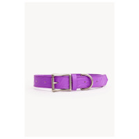 Dogguo Zebra Collar - Hondenhalsband - Paars