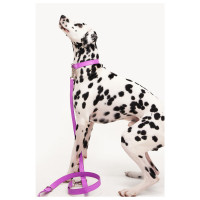 Dogguo Zebra Leash - Hondenriem - Paars