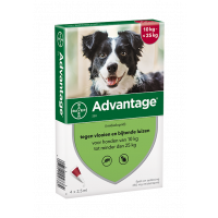 Advantage 250 Hond 10-25 kg - 4 Pipetten