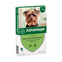 Advantage 40 Hond tot 4 kg - 4 Pipetten