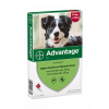 Advantage 250 Hond 10-25 kg - 4 Pipetten