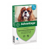 Advantage 100 Hond 4-10 kg - 4 Pipetten