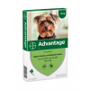 Advantage 40 Hond tot 4 kg - 4 Pipetten