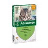 Advantage 40 Kat tot 4 kg - 4 Pipetten