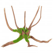 Zolux Groeiend Decor Spider Root M - Aquarium - Ornament - 27.5x23.9x17.5 cm