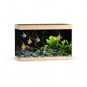 Juwel Rio 290 Led - Aquarium - 101x51x66 cm Licht Hout