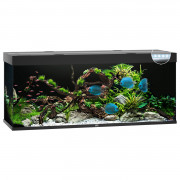 Juwel Aquarium Rio 450 Led 151x51x66 cm - Aquaria - Zwart Ca. 450 L