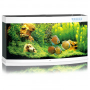 Juwel Aquarium Vision 260 Led 121x46x64 cm - Aquaria - Wit Ca. 260 L
