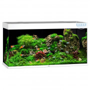 Juwel Aquarium Rio 350 Led 121x51x66 cm - Aquaria - Wit Ca. 350 L