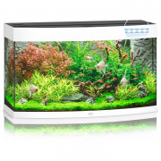 Juwel Aquarium Vision 180 Led 92x41x55 cm - Aquaria - Wit Ca. 180 L