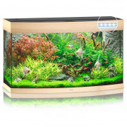 Juwel Aquarium Vision 180 Led 92x41x55 cm - Aquaria - Licht Hout