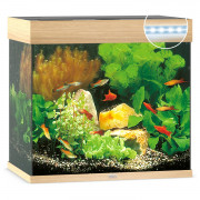 Juwel Aquarium Lido 120 Led 61x41x58 cm - Aquaria - Licht Hout Ca. 120 L