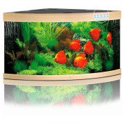 Juwel Aquarium Trigon 350 Led 123x87x65 cm - Aquaria - Licht Hout
