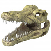 Aqua Della Decor Schedel Krokodil S Small - Aquarium - Ornament - 13.5x6.5x7.5 cm