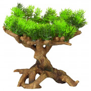 Aqua Della Decor Flora-Scape No. 11 - Aquarium - Ornament - 22x19x23.5 cm Nr. 11