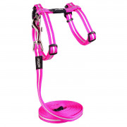 Rogz Alleycat Tuigje Met Looplijn - Kattenharnas - Roze 24-40 Cm