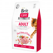 Brit Activity Support Kalkoen&Kip - Kattenvoer - 2 kg