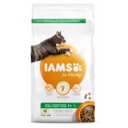 3 kg Iams Cat Adult Chicken (OP=OP, Max.2 per bestelling)