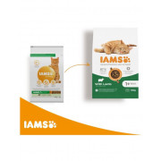 10+3kg Iams Cat Adult Lamb (Max 2 per bestelling)
