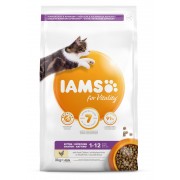 3 kg Iams Cat Kitten/Junior Chicken (OP=OP, Max. 2 per bestelling))