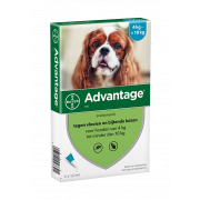 Advantage 100 Hond 4-10 kg - 4 Pipetten