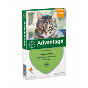 Advantage 40 Kat tot 4 kg - 4 Pipetten