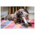 Nylabone Durachew Bone Wolf M - Hondenspeelgoed - Wit