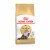 Royal Canin Persian Adult - Kattenvoer - 2 kg