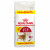 Royal Canin Fit 32 - Kattenvoer - 10+2 kg Bonusbag