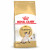 Royal Canin Siamese Adult - Kattenvoer - 10 kg