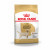 Royal Canin Labrador Retriever Adult - Hondenvoer - 3 kg