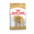 Royal Canin Bulldog Adult - Hondenvoer - 3 kg