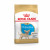 Royal Canin Chihuahua - Puppy-Hondenvoer - 500 g
