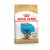 Royal Canin German Shepherd - Puppy-Hondenvoer - 12 kg