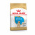 Royal Canin Labrador Retriever - Puppy-Hondenvoer - 3 kg