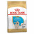 Royal Canin Golden Retriever - Puppy-Hondenvoer - 3 kg