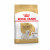 Royal Canin West Highland White Terrier Adult - Hondenvoer - 1.5 kg